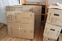 packing-company (2)_300x200
